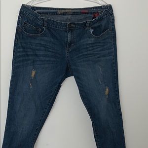 Arizona Gold Glitter Distressed Skinny Jeans